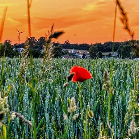 Charming With Sea View In Dom wakacyjny Hejlsminde